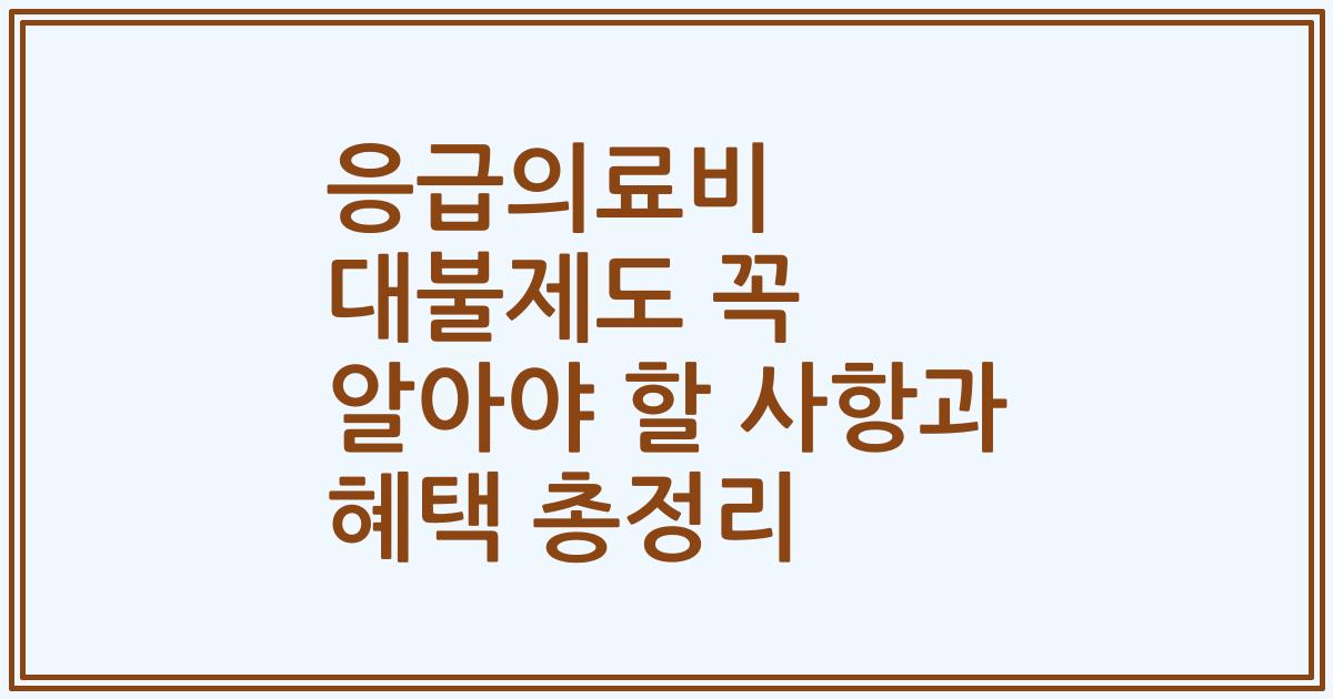 응급의료비 대불제도 꼭 알아야 할 사항과 혜택 총정리