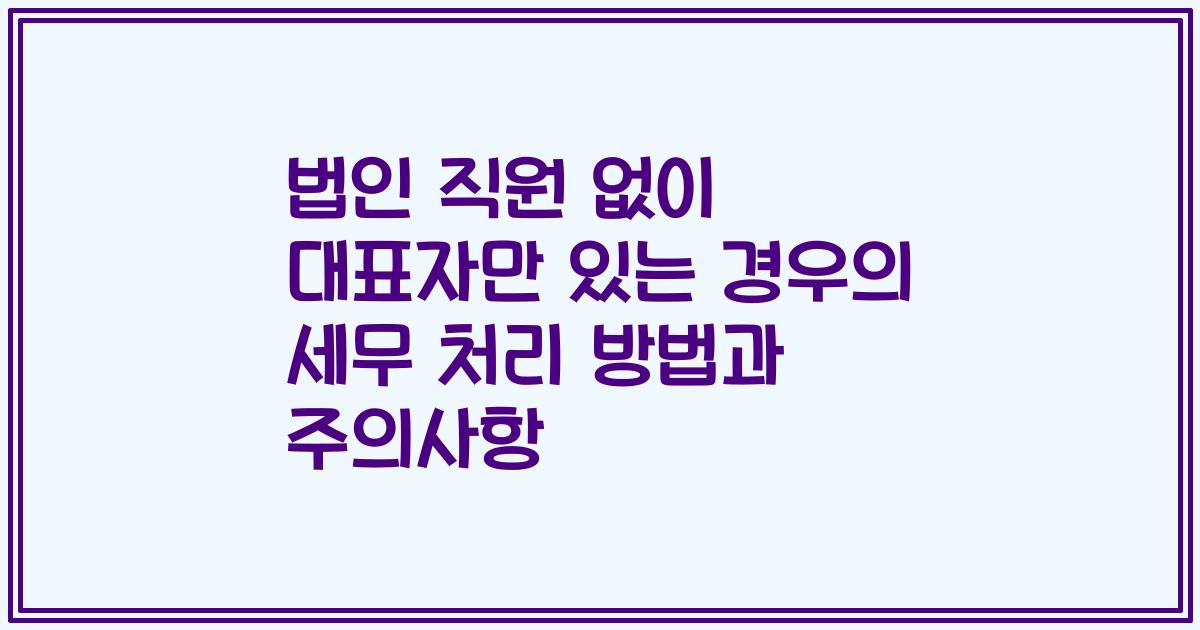 법인 직원 없이 대표자만 있는 경우의 세무 처리 방법과 주의사항
