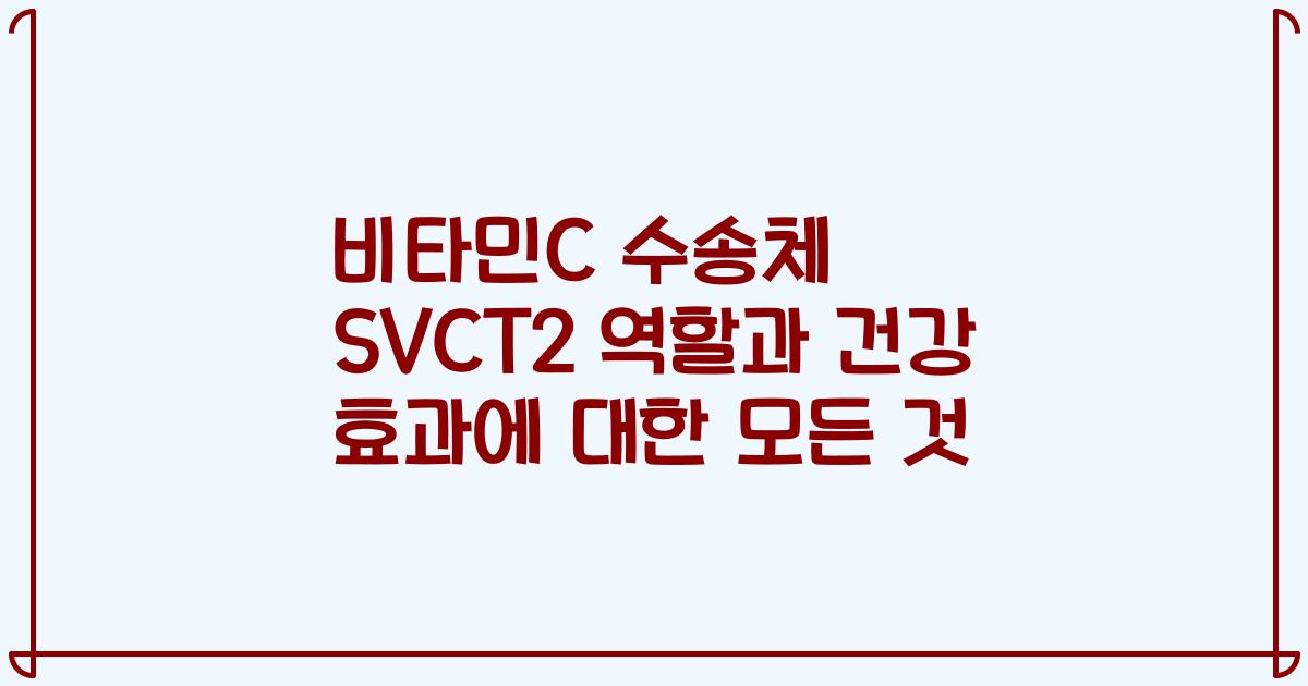 비타민C 수송체 SVCT2 역할과 건강 효과에 대한 모든 것